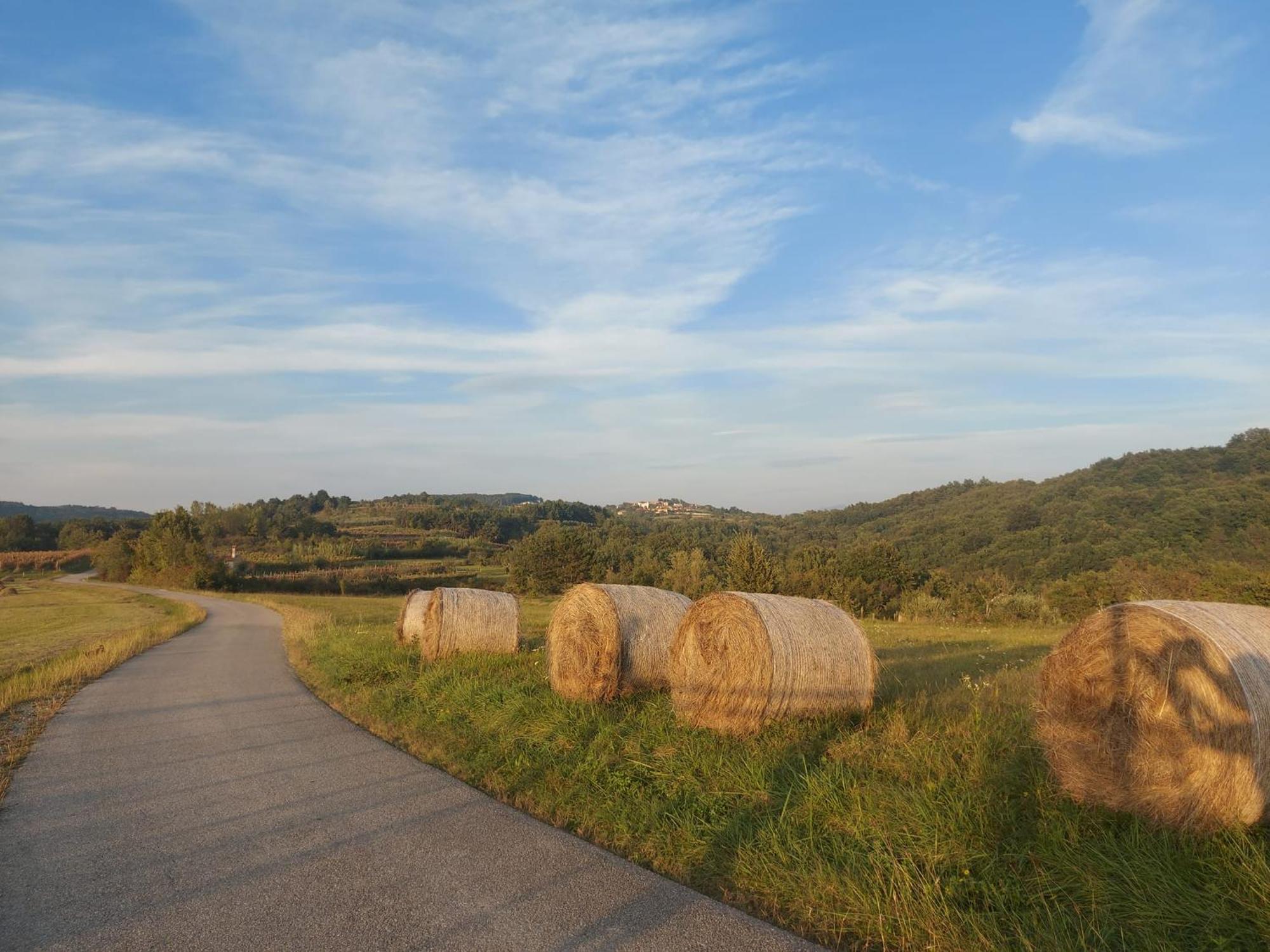 Bitini Farm Apartment Gračišče Eksteriør bilde